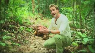 Ben Fogle's Sarawak Adventures - Matang Wildlife Centre