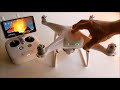 How to Turn On your Drone - DJI Phantom 4 Tutorial #2 w/ Phantom 4 Pro Plus