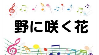 野に咲く花も／富田満【大大わーしっぷ】