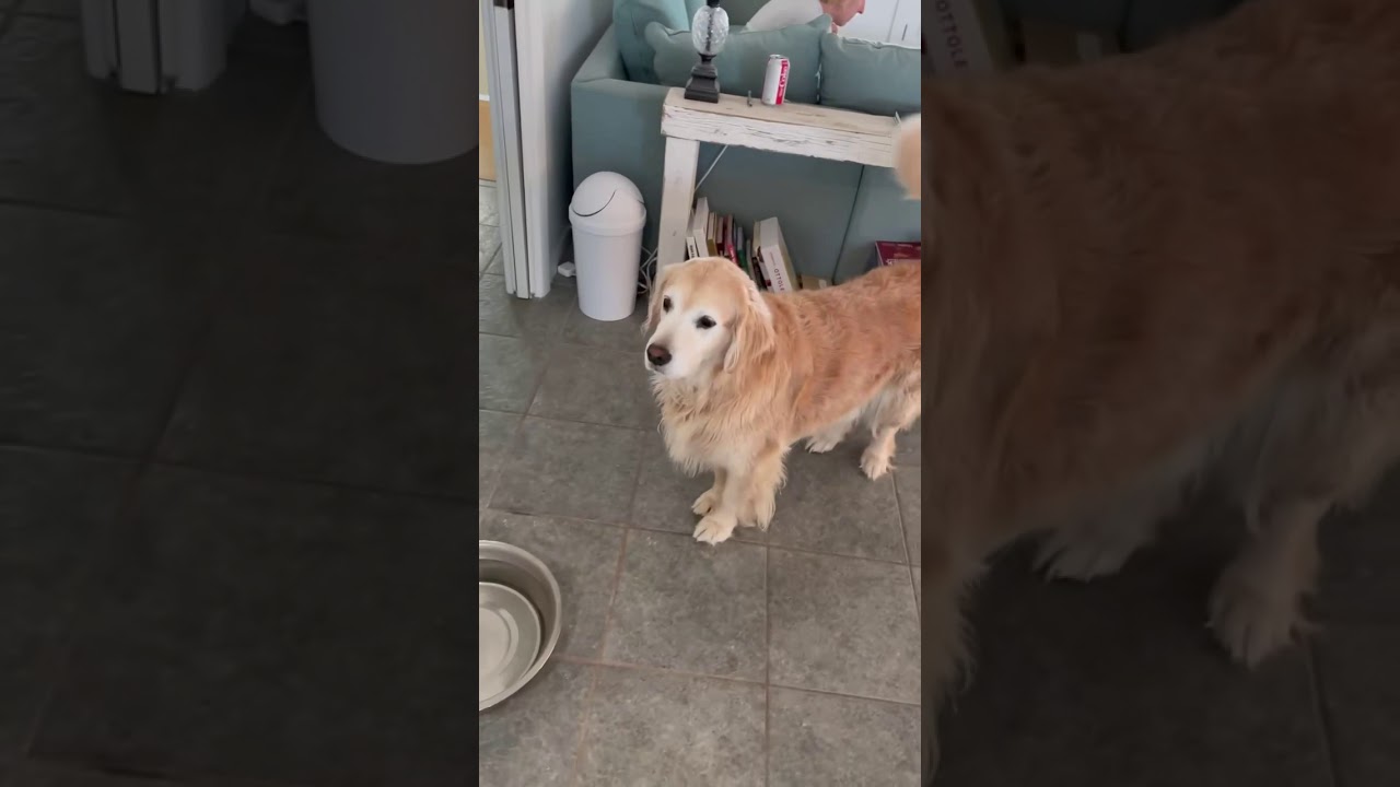 Daily Snaps 3 16 21 Youtube