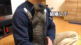 発情期の猫、飼い主に求婚する！     A cat appeals to its owner.