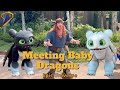 Meeting Baby Dragons: How To Train Your Dragon at Epic Universe