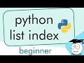 Python List Indexing | Simple Tutorial | #Shorts