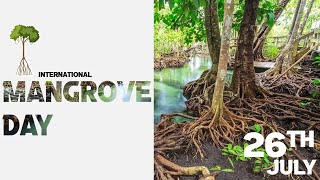 World Mangrove Day 2023