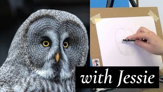 LIVE - realistic drawing of owl eye in pencil.