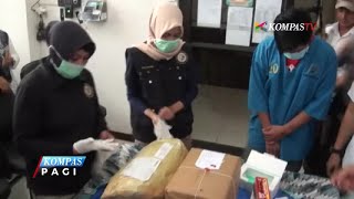 BNN Sulsel Sita Paket Ganja 4 Kilogram di Kantor Pos