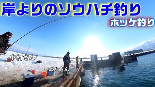 釣り日記♯６３ 岸よりのソウハチ釣り ホッケ釣り