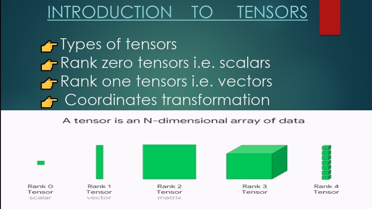 Introduction To Tensors|| P-1 || Types Of Tensors On The Basis Of Rank ...