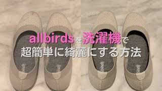 【allbirds】洗濯機で丸洗い　どこまで綺麗になるのか検証