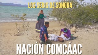 Punta Chueca Sonora | My experience with Bufo Alvarius DMT