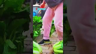 UNIK PANEN PULUHAN SAYUR SEGAR DI HALAMAN RUMAH!!!! #shorts #short #youtube #trending