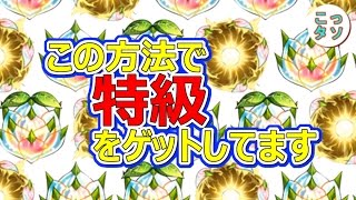 【モンスト】僕たちはこの方法でわくわくの実、特級(金の種)をゲットしてます✩【こっさり＆シュンタソ】