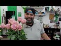 jftv jet fresh flower growers 2021 valentine s day rose fashion show w fern u0026 live studio audience