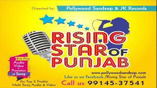 Rising Star of Punjab 2017, Amritsar Audition