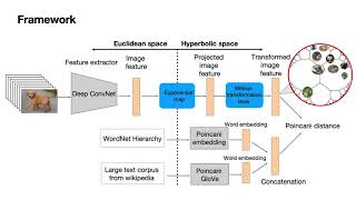 Hyperbolic Visual Embedding Learning for Zero-Shot Recognition