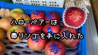 ついに「毒リンゴ」をゲットだぜ！