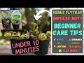 Total Venus Flytrap Care Under 10 Minutes - Wal-Mart ,Lowes Beginner Fly Trap Tips (Updated 2024)