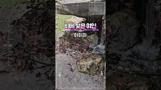 이미자 #비에 젖은 여인 #옛날노래 #전통가요 #트롯트인기가요