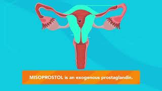 How does MISORPOSTOL work?