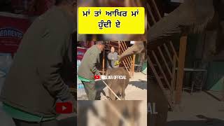 ਮਾਂ ਤਾਂ ਆਖਿਰ ਮਾਂ ਹੁੰਦੀ ਏ || #shorts