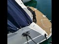 Rinker 280 Express Cruiser Boatshed Boat Ref#240705