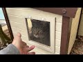 Short ecoFLEX Albany Outdoor Feral Cat House Review