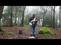 🎸 diEgita - Liveloop  0002  Rusheen Forrest -  🌍 Barna Woods, Ireland