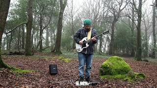 🎸 diEgita - Liveloop  0002  Rusheen Forrest -  🌍 Barna Woods, Ireland