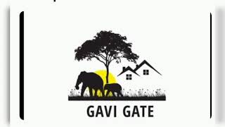 കുട്ടിക്കൊമ്പനൊപ്പം... # gavi.kerala tourism.