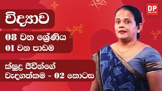 01 වන පාඩම (ක්ෂුද්‍ර ජීවීන්ගේ වැදගත්කම - 02 කොටස) | 08 වන ශ්‍රේණිය විද්‍යාව