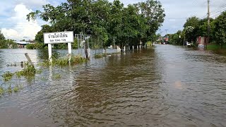 น้ำท่วมศรีสะเกษล่าสุด อัพเดทสถานการณ์น้ำท่วมอำเภอราษีไศลล่าสุด น้ำท่วมบ้านต่งโต้น น้ำท่วมบ้านดอนม่วง