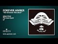 FOREVER AMBER - The Dreamer Flies Back (Taken from 