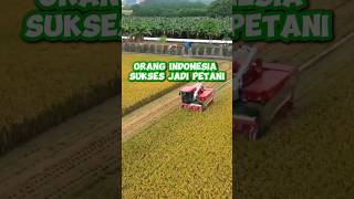 Orang Indonesia Sukses Jadi Petani di Jepang