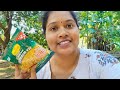 ଆଜି ମୁଇଁ କାଣା ରାନ୍ଧୁଛେ cooking vlog manjarivlogs