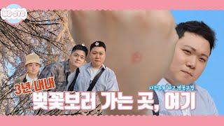 [VLOG] 벚꽃놀이🌸 3년째 벚꽃보러 가면 꼭 가는 찐코스 공개  240412 l Ep.5