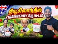 நியூசிலாந்தில் Strawberry தோட்டம் | New Zealand strawberry farm | Prakash Natarajan | Tamil