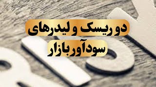 دو ریسک و لیدرهای سودآور بازار اردیبهشت ۱۴۰۳