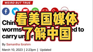 我以老外的视角通过美国媒体了解中国，终于明白为啥反智和种族歧视现象越来越多了。