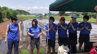 日体大FIELDS横浜　ライスフィールド（田んぼ）プロジェクト