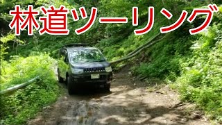 デリカ D5　林道 ツーリング