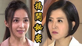 炮仔聲│EP126  三天期限-鄭婷要家璇閃電離婚  The Sound Of Happiness│ Vidol.tv