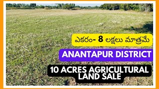 10 Acres Agricultural land for sale || Anantapur district || Guntakal near || Acre 8 lakhs only