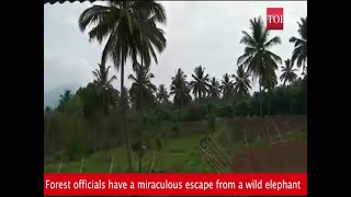 Watch: Forest officials miraculously escape rampaging elephant