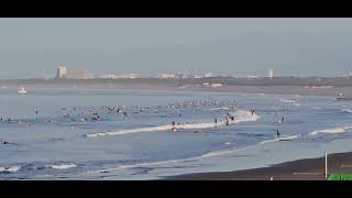 ２０２３年７月２６日（水）江ノ島～鵠沼海岸：晴れてます。風は弱めで波は膝～ももくらい。