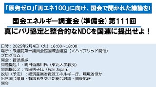 国会エネルギー調査会（準備会）第111回 2025年2月4日