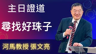 尋找好珠子(河馬教授-張文亮主日證道2025.01.26板橋明穗教會)