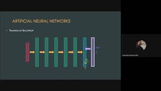 TEACHING Webinar 1: Introduction to Recurrent and Reservoir Computing Neural Networks