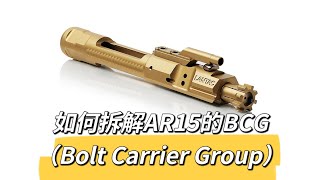 【王老师聊枪】AR15半自动步枪（四）如何拆解、组装AR10/15的枪栓组件BCG（Bolt Carrier Group）