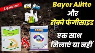 Roko fungicide + Bayer Aliette | mixing Experiments video agriculture