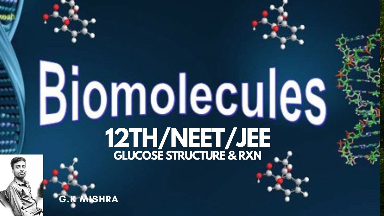 Biomolecules 2 Boards Neet Jee Youtube
